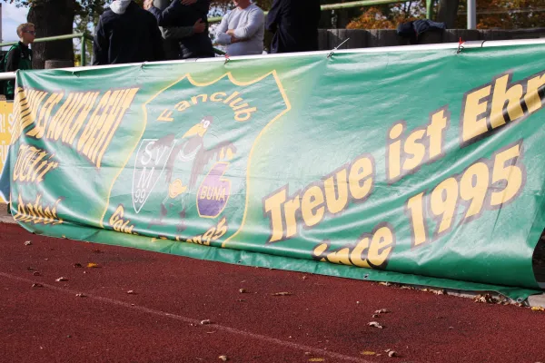 SV Merseburg 99 - VFL Querfurt