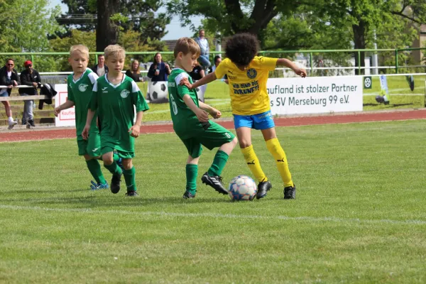 27. Rabencup 2023 - F-Jugend