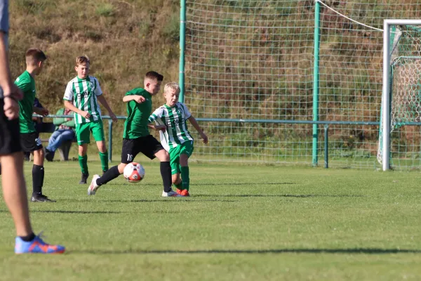 SV Merseburg 99 - Langeneichstädt