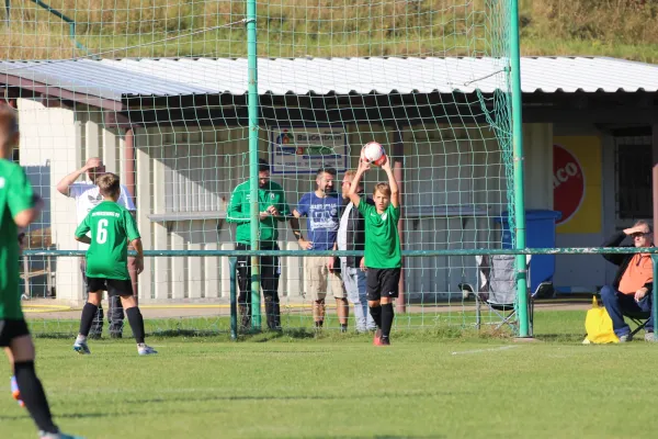 SV Merseburg 99 - Langeneichstädt