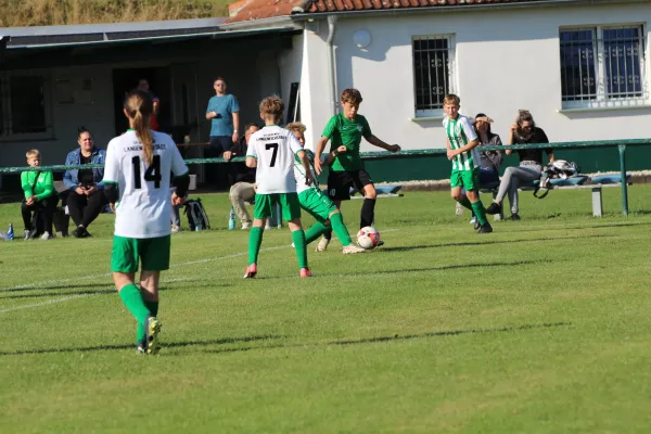 SV Merseburg 99 - Langeneichstädt