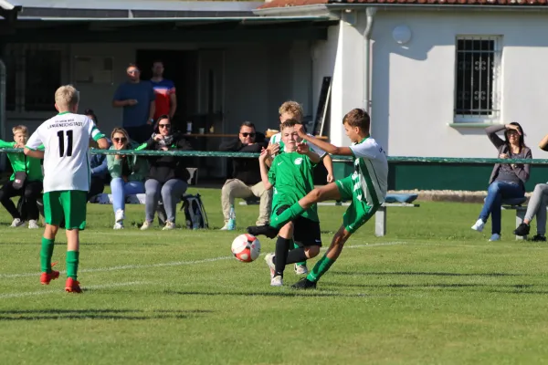 SV Merseburg 99 - Langeneichstädt