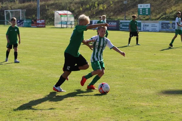 SV Merseburg 99 - Langeneichstädt