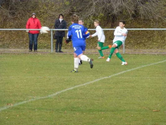 12. Spieltag Landesliga Staffel 4 2012/2013