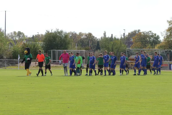 SV Merseburg 99 | :  TSV Leuna 1919 II