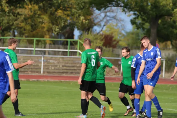 SV Merseburg 99 | :  TSV Leuna 1919 II