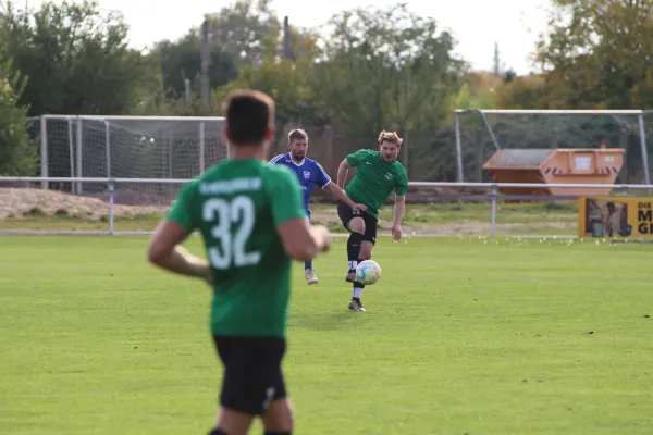 SV Merseburg 99 | :  TSV Leuna 1919 II