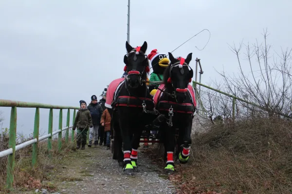 Weihnachtsmarkt beim SV Merseburg 99 2024