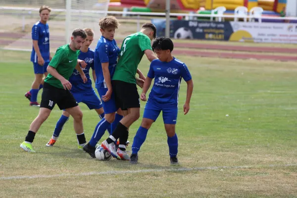 31.08.2024 SV Merseburg 99 vs. Günth./Zösch./Meusch