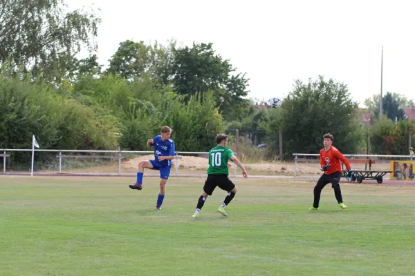 31.08.2024 SV Merseburg 99 vs. Günth./Zösch./Meusch