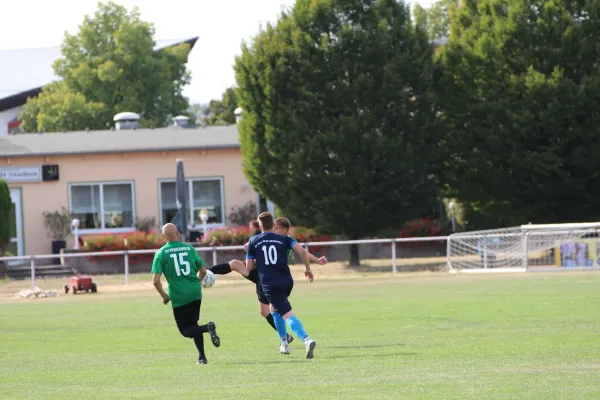 31.08.2024 SV Merseburg 99 vs. Bl.-W. Günthersdorf