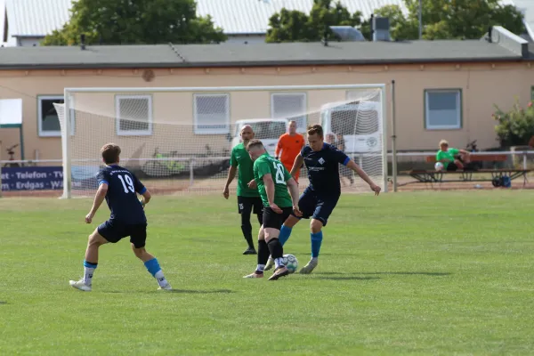 31.08.2024 SV Merseburg 99 vs. Bl.-W. Günthersdorf