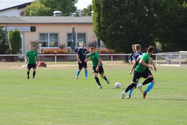 31.08.2024 SV Merseburg 99 vs. Bl.-W. Günthersdorf