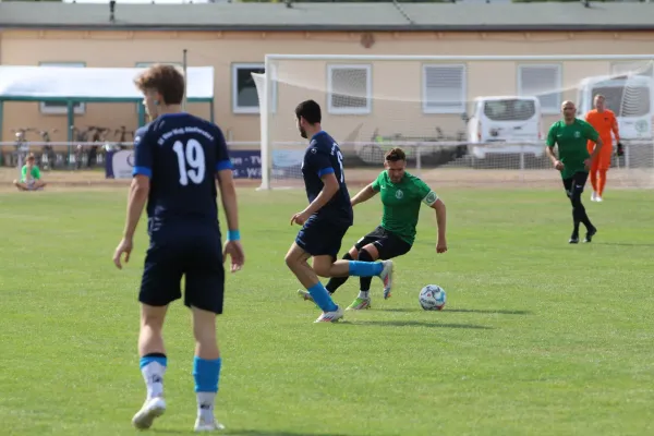 31.08.2024 SV Merseburg 99 vs. Bl.-W. Günthersdorf