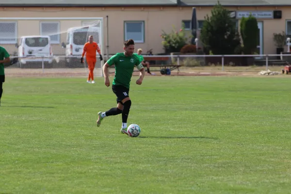 31.08.2024 SV Merseburg 99 vs. Bl.-W. Günthersdorf