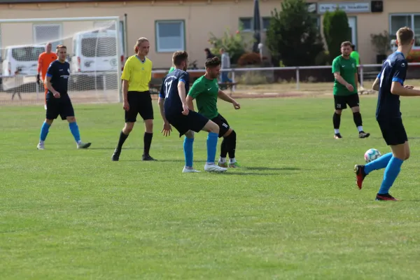 31.08.2024 SV Merseburg 99 vs. Bl.-W. Günthersdorf