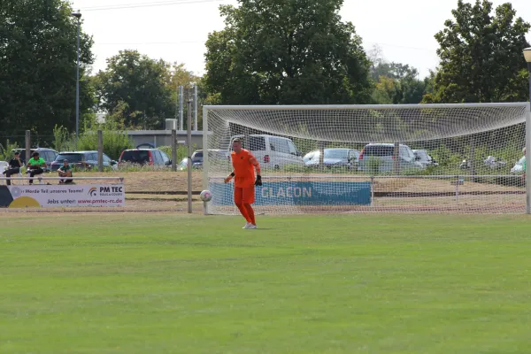 31.08.2024 SV Merseburg 99 vs. Bl.-W. Günthersdorf