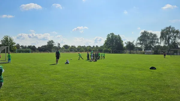 10.08.2024 SV Merseburg 99 vs. SV Merseburg 99 II