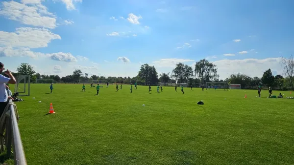 10.08.2024 SV Merseburg 99 vs. SV Merseburg 99 II