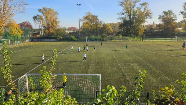 26.10.2024 SV Merseburg 99 vs. JSG Einheit Aue