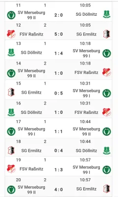 17.08.2024 SG Döllnitz vs. SV Merseburg 99