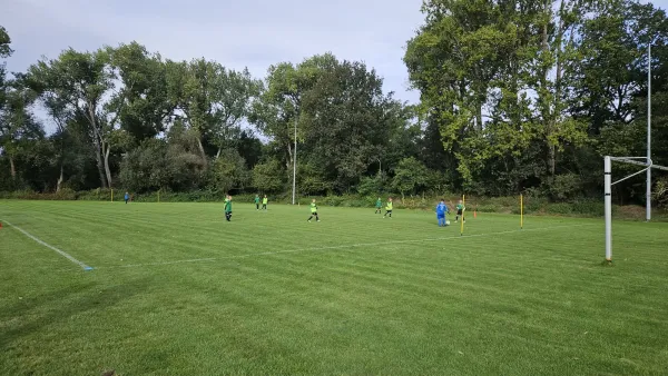 14.09.2024 SG Ermlitz vs. SV Merseburg 99