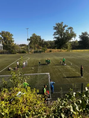 22.09.2024 SV Merseburg 99 vs. Romonta Stedten