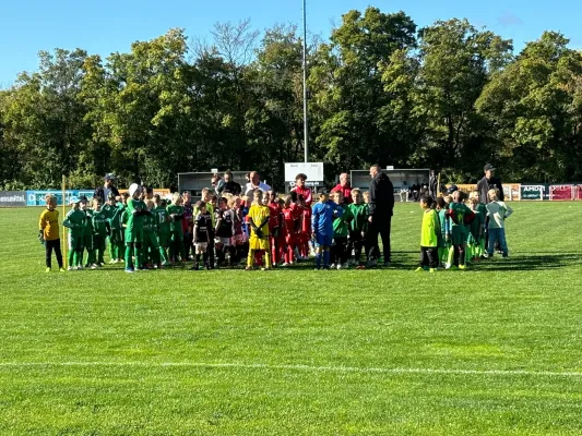 29.09.2024 PSV Halle vs. SV Merseburg 99