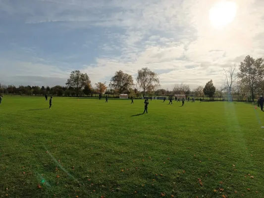 02.11.2024 SV Merseburg 99 vs. VFL Roßbach 1921